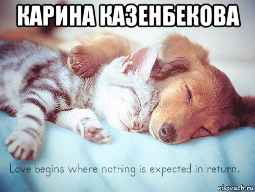 карина казенбекова 