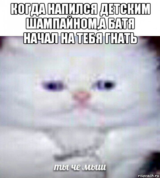 когда напился детским шампайном,а батя начал на тебя гнать , Мем Ты че мыш