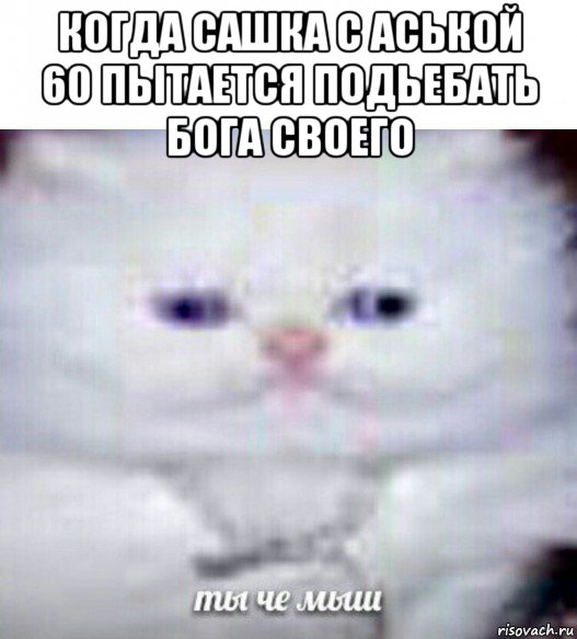 когда сашка с аськой 60 пытается подьебать бога своего , Мем Ты че мыш