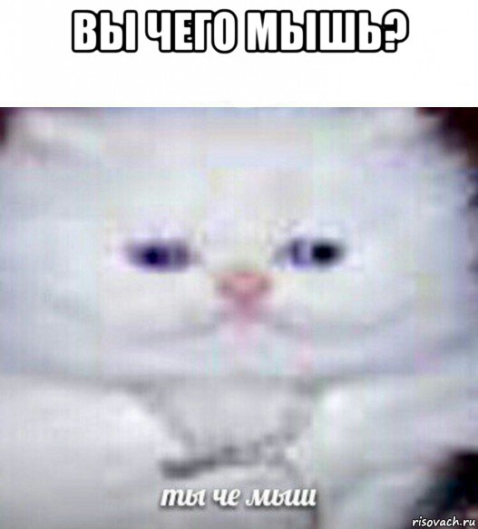 вы чего мышь? 