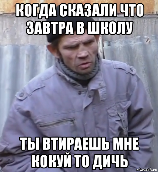 когда сказали что завтра в школу ты втираешь мне кокуй то дичь, Мем  Ты втираешь мне какую то дичь