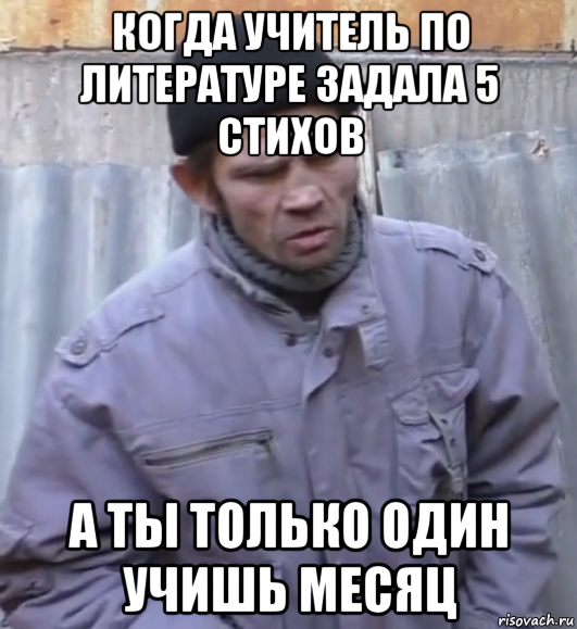 когда учитель по литературе задала 5 стихов а ты только один учишь месяц, Мем  Ты втираешь мне какую то дичь