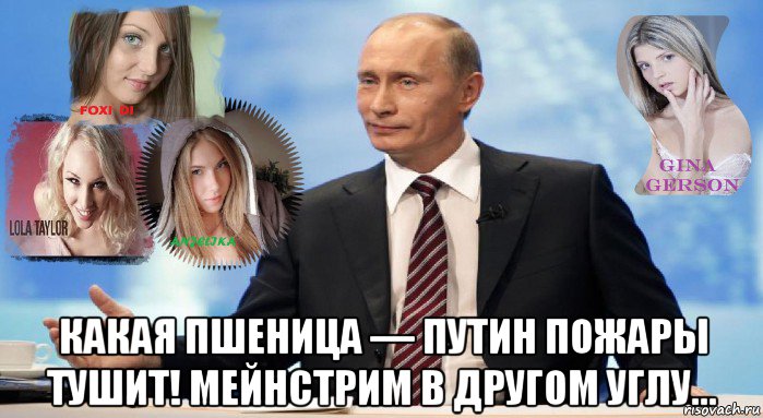  какая пшеница — путин пожары тушит! мейнстрим в другом углу…