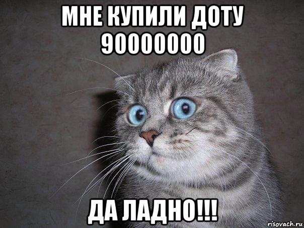 мне купили доту 90000000 да ладно!!!, Мем  удивлённый кот