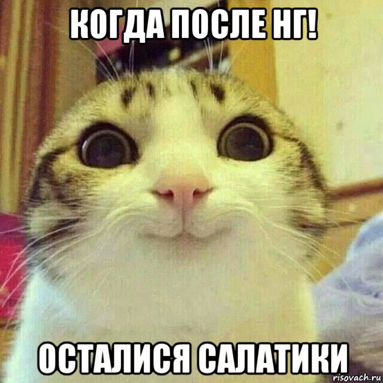 когда после нг! осталися салатики