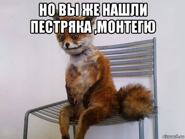 но вы же нашли пестряка ,монтегю 