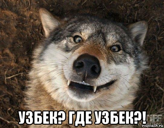  узбек? где узбек?!