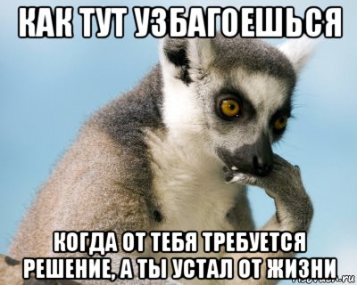 как тут узбагоешься когда от тебя требуется решение, а ты устал от жизни