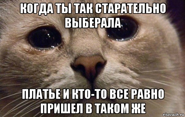 когда ты так старательно выберала платье и кто-то все равно пришел в таком же, Мем   В мире грустит один котик