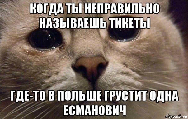 когда ты неправильно называешь тикеты где-то в польше грустит одна есманович, Мем   В мире грустит один котик