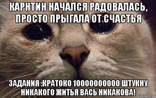 карнтин начался радовалась, просто прыгала от счастья задания :кратоко 10000000000 штукну никакого житья вась никакова!, Мем   В мире грустит один котик