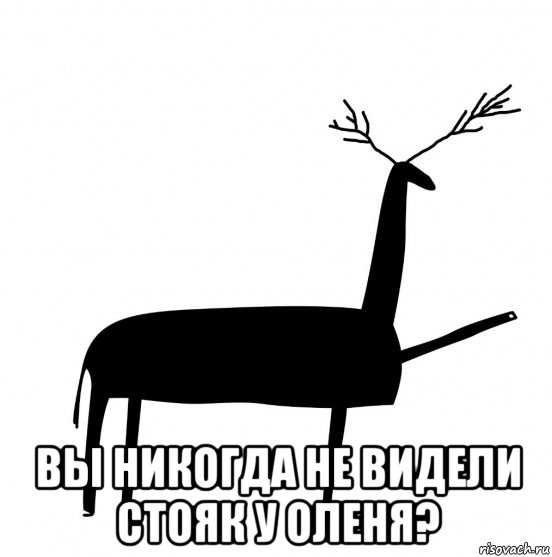  вы никогда не видели стояк у оленя?