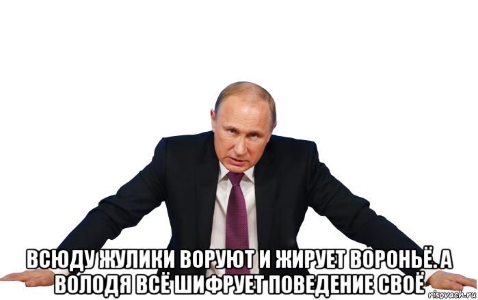  всюду жулики воруют и жирует вороньё. а володя всё шифрует поведение своё
