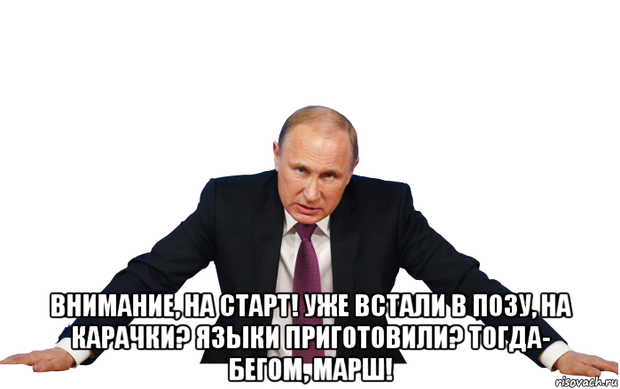  внимание, на старт! уже встали в позу, на карачки? языки приготовили? тогда- бегом, марш!