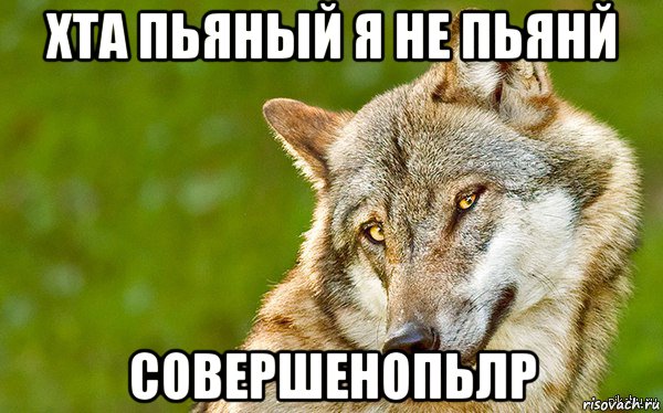 хта пьяный я не пьянй совершенопьлр, Мем   Volf