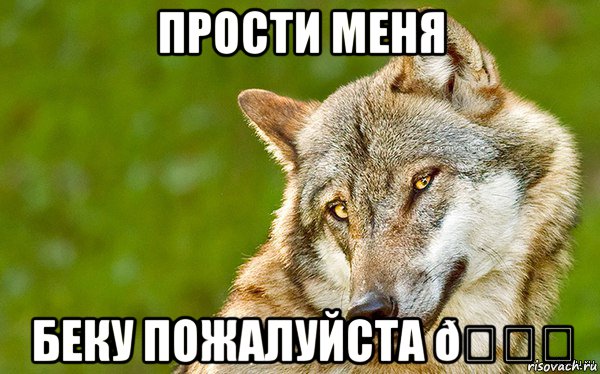 Мем   Volf