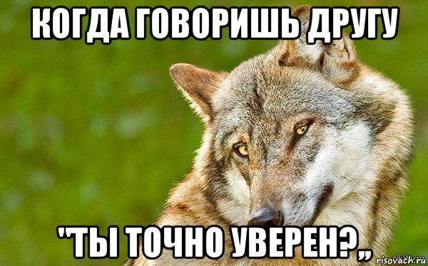 когда говоришь другу "ты точно уверен?,,, Мем   Volf