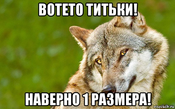 вотето титьки! наверно 1 размера!, Мем   Volf