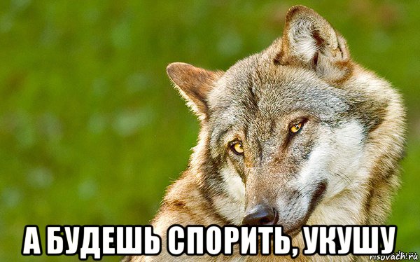  а будешь спорить, укушу, Мем   Volf