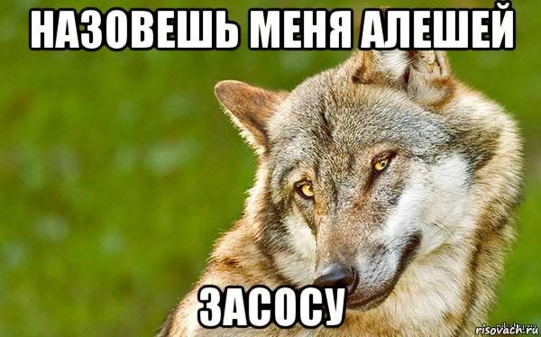 назовешь меня алешей засосу, Мем   Volf