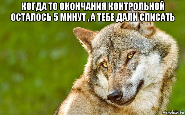 когда то окончания контрольной осталось 5 минут , а тебе дали списать , Мем   Volf