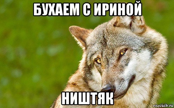 бухаем с ириной ништяк, Мем   Volf