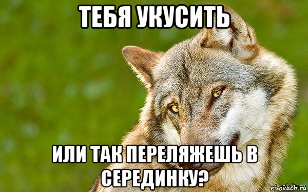 тебя укусить или так переляжешь в серединку?, Мем   Volf