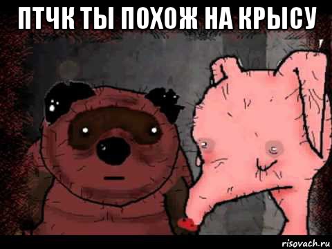 птчк ты похож на крысу , Мем Вонни и Птчк