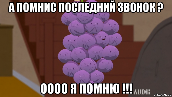 а помнис последний звонок ? оооо я помню !!!