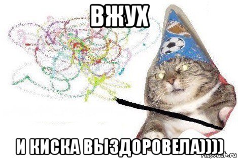 вжух и киска выздоровела)))), Мем Вжух мем