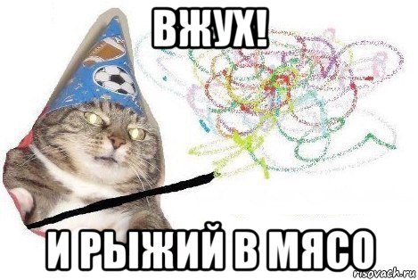 вжух! и рыжий в мясо, Мем Вжух