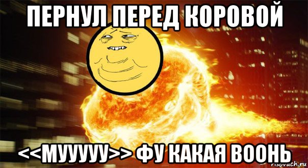 пернул перед коровой <<мууууу>> фу какая воонь, Мем Взрыв пукана