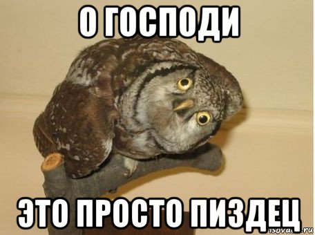 о господи это просто пиздец