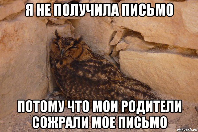 я не получила письмо потому что мои родители сожрали мое письмо