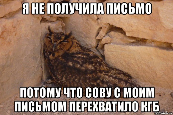 я не получила письмо потому что сову с моим письмом перехватило кгб