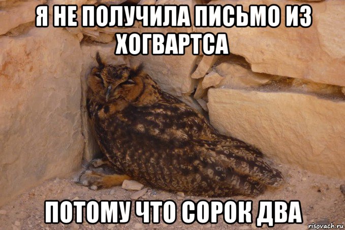 я не получила письмо из хогвартса потому что сорок два