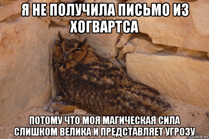 я не получила письмо из хогвартса потому что моя магическая сила слишком велика и представляет угрозу