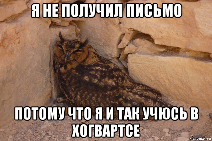 я не получил письмо потому что я и так учюсь в хогвартсе