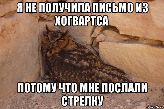 я не получила письмо из хогвартса потому что мне послали стрелку