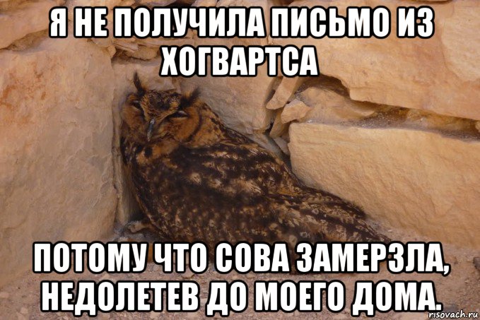 я не получила письмо из хогвартса потому что сова замерзла, недолетев до моего дома.