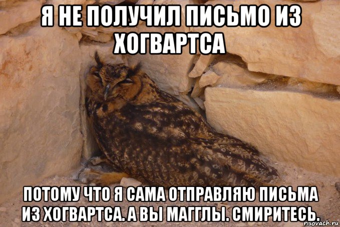 я не получил письмо из хогвартса потому что я сама отправляю письма из хогвартса. а вы магглы. смиритесь.