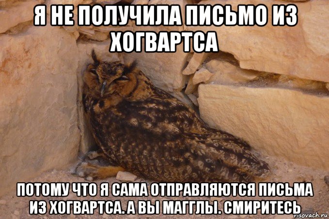 я не получила письмо из хогвартса потому что я сама отправляются письма из хогвартса. а вы магглы. смиритесь