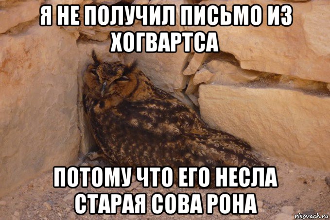 я не получил письмо из хогвартса потому что его несла старая сова рона