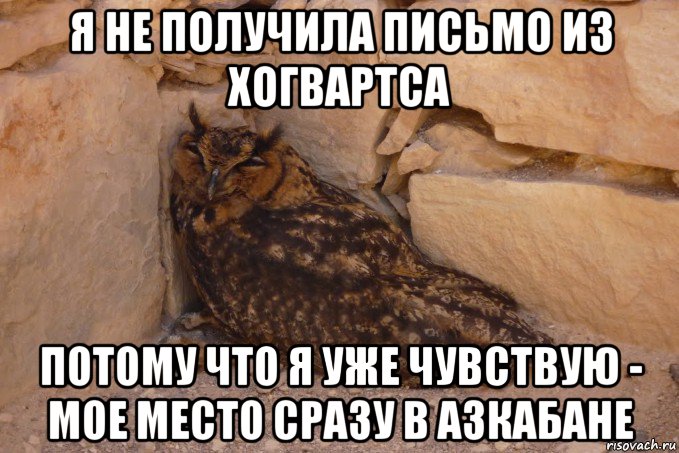 я не получила письмо из хогвартса потому что я уже чувствую - мое место сразу в азкабане