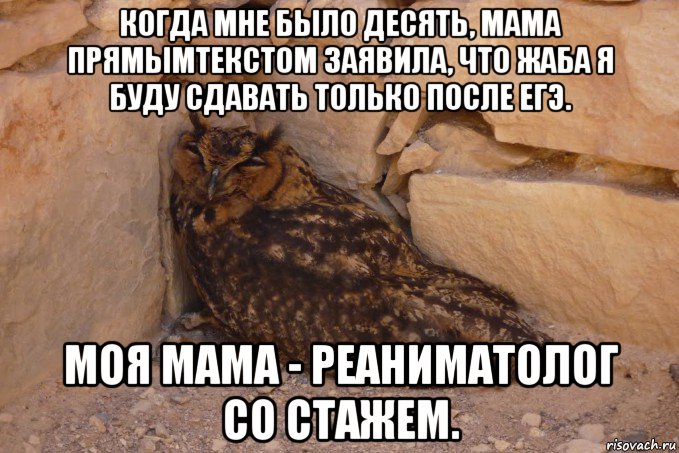 когда мне было десять, мама прямымтекстом заявила, что жаба я буду сдавать только после егэ. моя мама - реаниматолог со стажем.