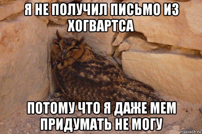 я не получил письмо из хогвартса потому что я даже мем придумать не могу