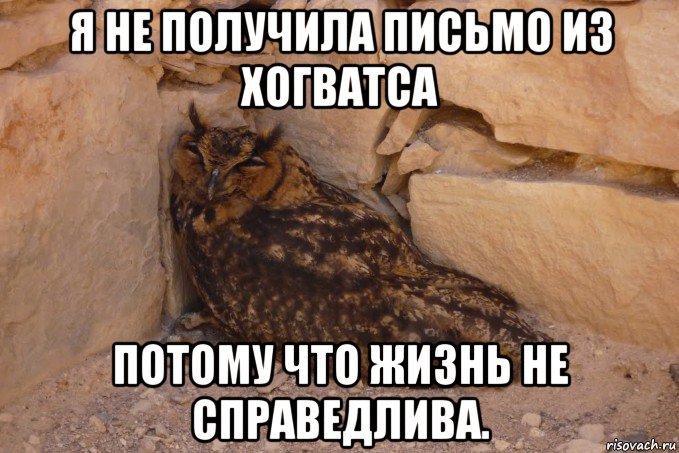 я не получила письмо из хогватса потому что жизнь не справедлива.