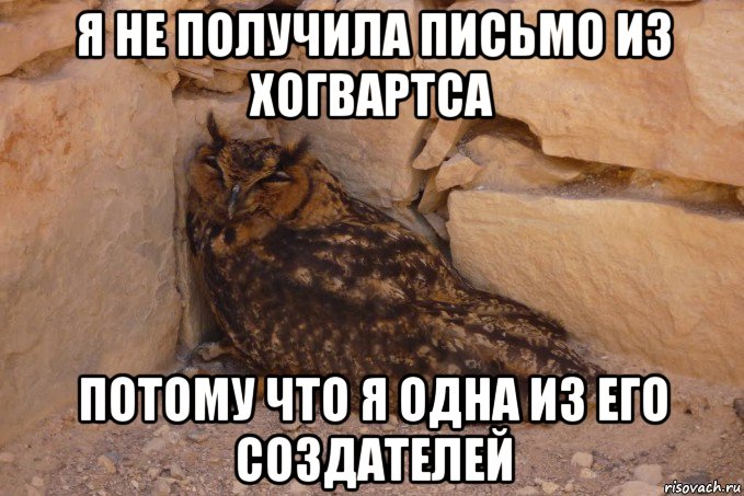 я не получила письмо из хогвартса потому что я одна из его создателей