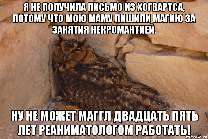 я не получила письмо из хогвартса, потому что мою маму лишили магию за занятия некромантией. ну не может маггл двадцать пять лет реаниматологом работать!