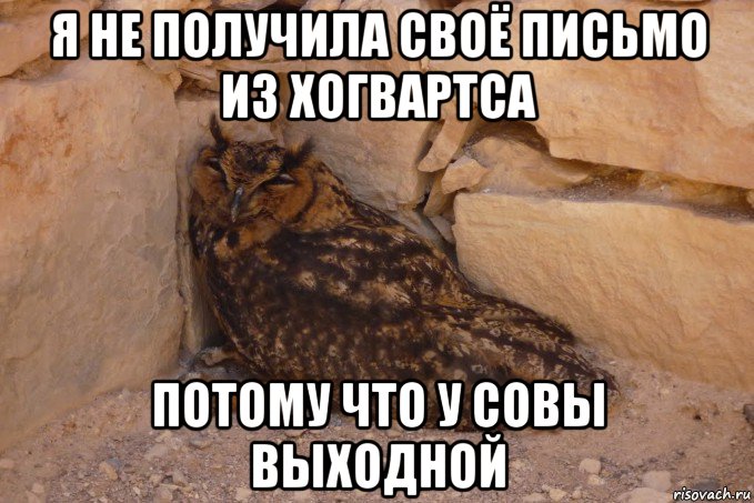 я не получила своё письмо из хогвартса потому что у совы выходной
